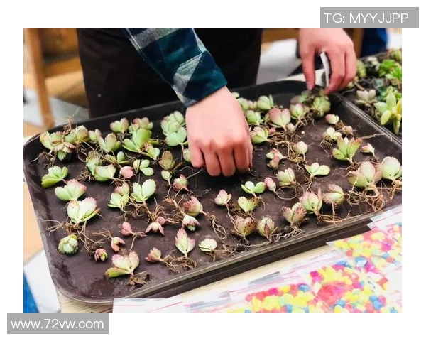 2019东亚四国赛日本与韩国的激烈对决回顾与精彩瞬间分析